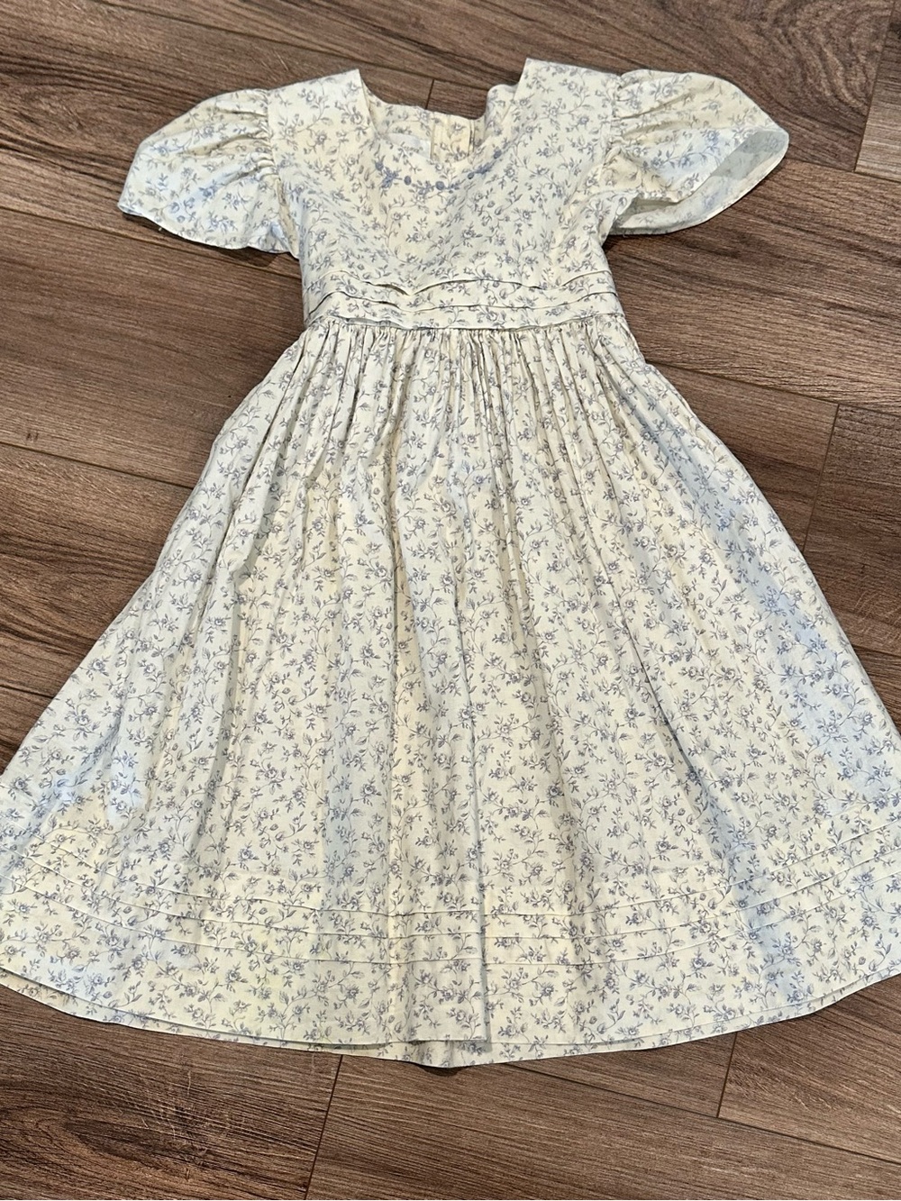 Strasburg Girls 5 Cream and Blue Floral Puff-Sleeve Pleated Waist Dress